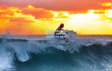 体彩投注|热刺主场化身欧战堡垒！连续23场不败创英格兰球队新纪录